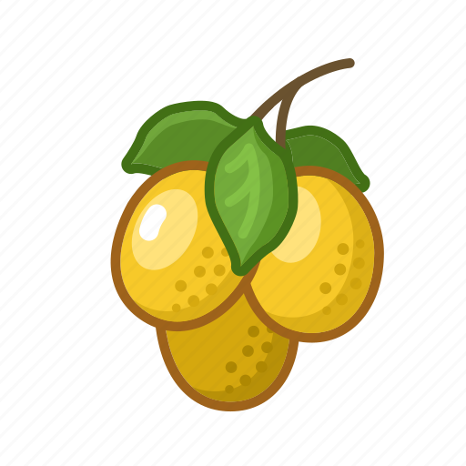 Marula, fruit, sweet, natural, fresh, exotic, food icon - Download on Iconfinder
