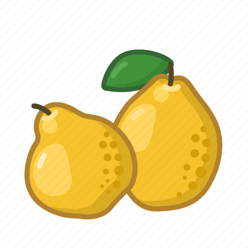 Quince, fruit, sweet, natural, fresh, food, exotic icon - Download on Iconfinder