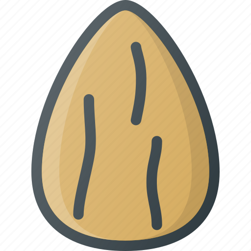 Almond, food, healt, healthy, nut icon - Download on Iconfinder