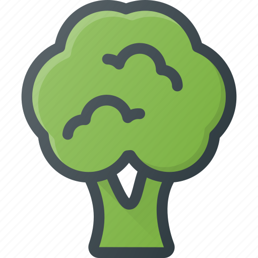 Broccoli, food, health, healthy, vegetable icon - Download on Iconfinder