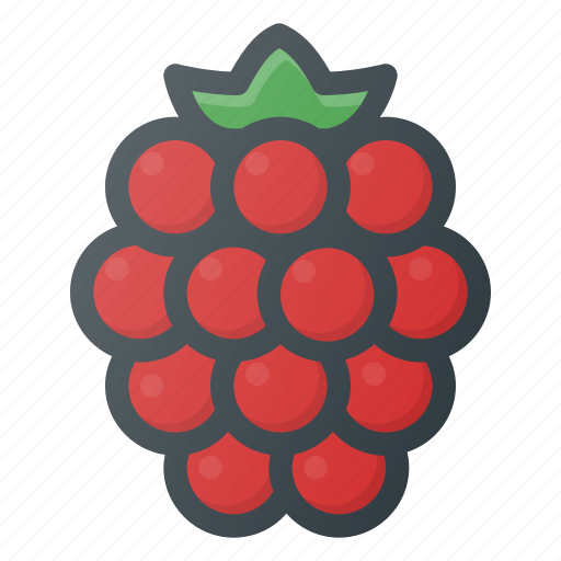 Food, fruit, health, healthy, raspberry icon - Download on Iconfinder