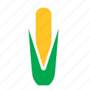corn, food, maize, vegetable