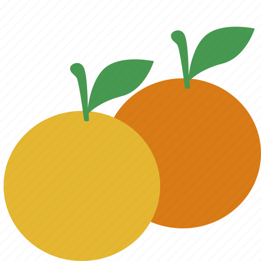Food, fruit, healthy, oranges, smoothie icon - Download on Iconfinder