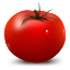 vegetable, tomato 