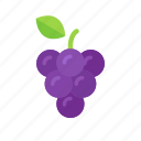 colour, food, fruit, grape, grapes, purple, wine