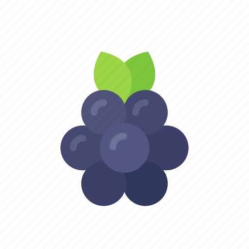 Berry, blackberries, blackberry, colour, food, fruit icon - Download on Iconfinder