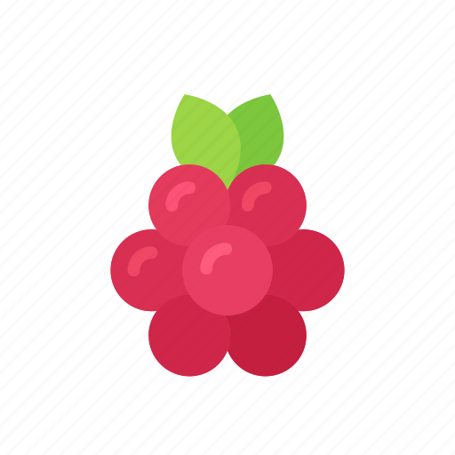 Berry, colour, food, fruit, raspberries, raspberry, red icon - Download on Iconfinder