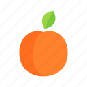 apricot, colour, food, fruit, health, orange, peach