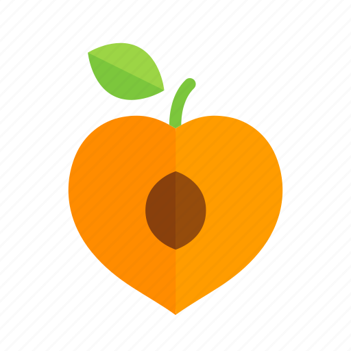 Apricot, colour, food, fruit, health, orange, peach icon - Download on Iconfinder