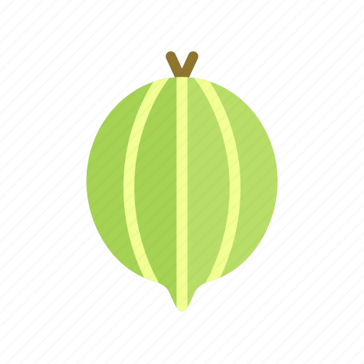 Colour, food, fruit, gooseberry, green, health icon - Download on Iconfinder