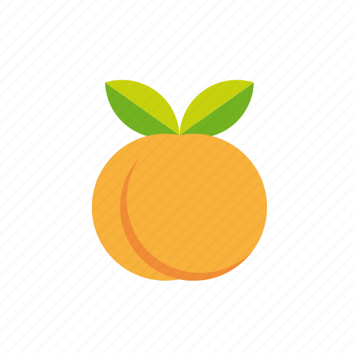 Apricot, fruit, leaves, peach, tropical, food, sweet icon - Download on Iconfinder