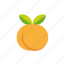 apricot, fruit, leaves, peach, tropical, food, sweet 