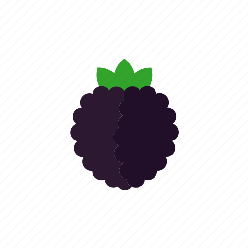Berry, blackberry, brambleberry, fruit, food, sweet icon - Download on Iconfinder