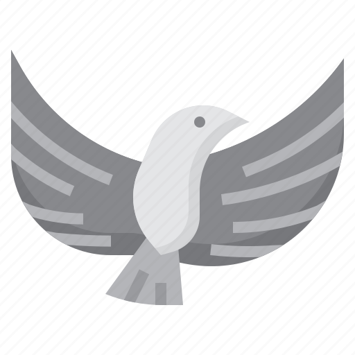 Dove, bird, pigeon, wings, fly icon - Download on Iconfinder