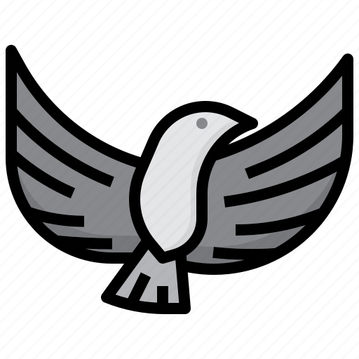 Dove, bird, pigeon, wings, fly icon - Download on Iconfinder
