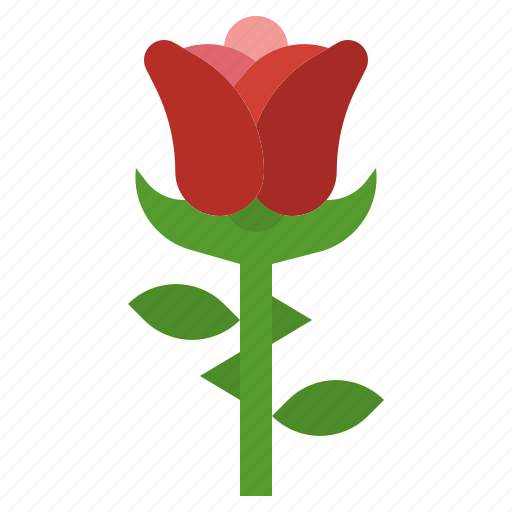 Blossom, botanical, flower, nature, petals, rose icon - Download on Iconfinder