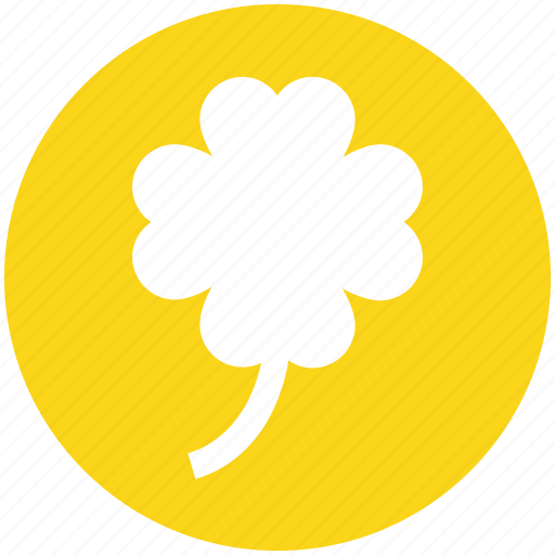 Casino, clover, flower, gambling, game, lucky icon - Download on Iconfinder