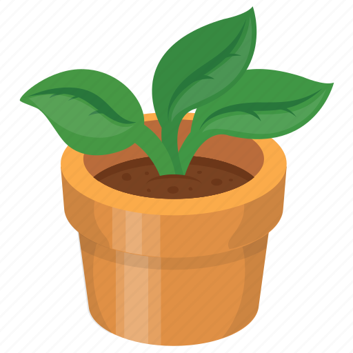 Indoor plant, leaves, nature, plant, pot icon - Download on Iconfinder