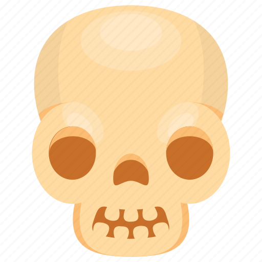 Human skull, skull, skull anatomy, skull bones, skull cartoon icon - Download on Iconfinder