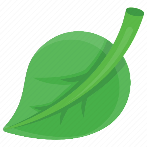 Leaf, leaf structure, leaf veins, nature, single leaf icon - Download on Iconfinder