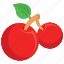 cherry, cherry clipart, fruit ninja, fruits, kids game character 