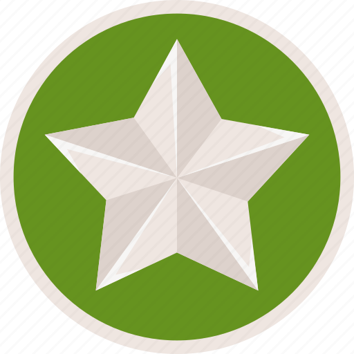 Trophy, winner, badge, prize, achievement, star, medal icon - Download on Iconfinder