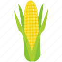agriculture, corn, food, grain, healthy, nature, vegetable
