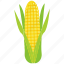 agriculture, corn, food, grain, healthy, nature, vegetable 