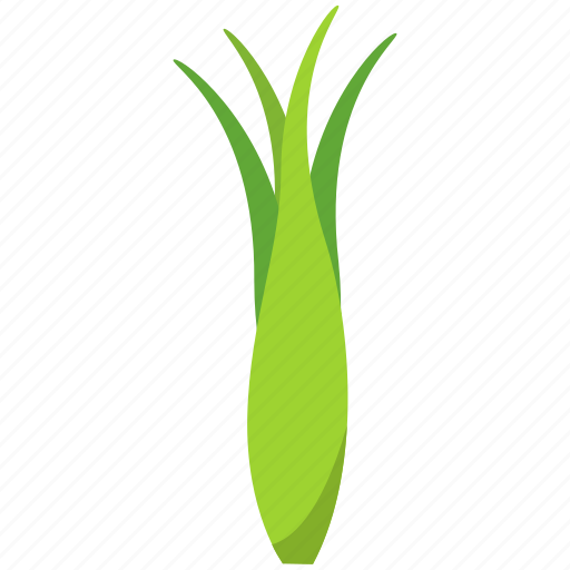 Food, fresh, green, healthy, leek, meal, vegetable icon - Download on Iconfinder