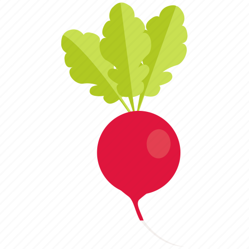 Food, fresh, healthy, radish, salad, vegetable, vegetarian icon - Download on Iconfinder