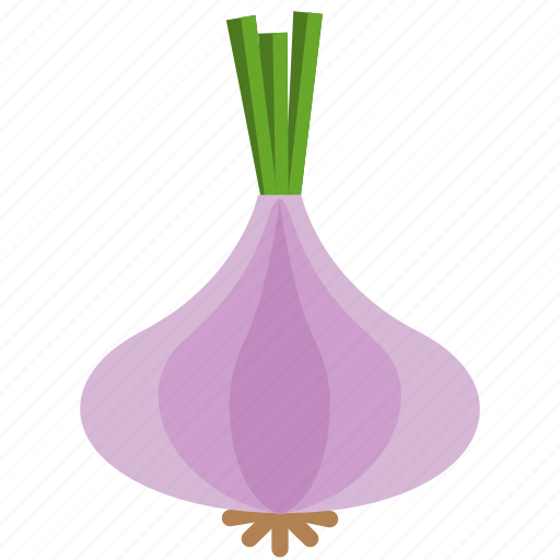 Cooking, food, fresh, healthy, ingredient, onion, shallot icon - Download on Iconfinder