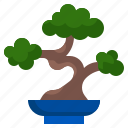 bonsai, plant, farming, gardening, tree, decoration