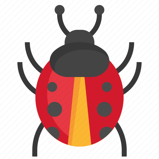 Ladybug, fly, animals, insect, entomology icon - Download on Iconfinder