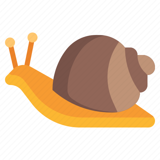 Snail, animals, shell, entomology, slow icon - Download on Iconfinder