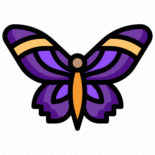 Butterfly, fly, animals, insect, entomology icon - Download on Iconfinder