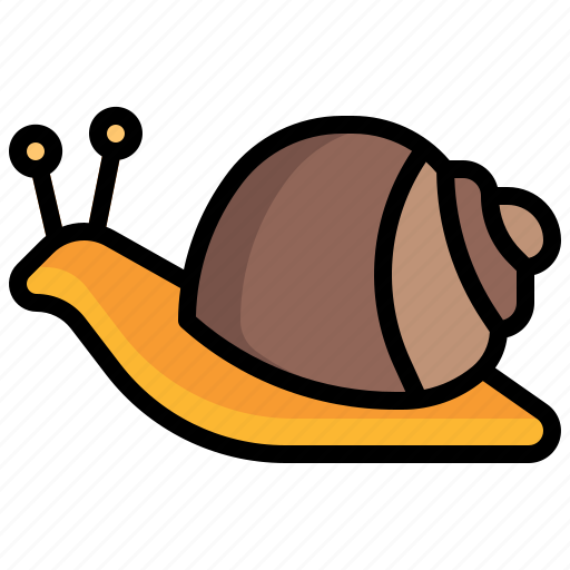 Snail, animals, shell, entomology, slow icon - Download on Iconfinder