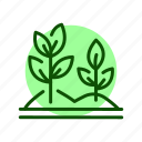 growing, plant, agriculture