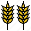 agriculture, crops, farm, harvest, wheat 