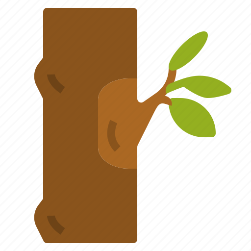 Budding, gardening, grafting, plant, propagation, tree icon - Download on Iconfinder