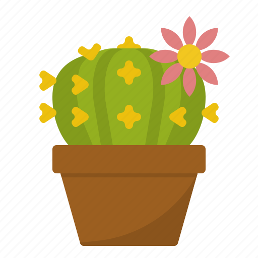 Cactus, decorative, flowers, garden, ornamental, plant, pot icon - Download on Iconfinder