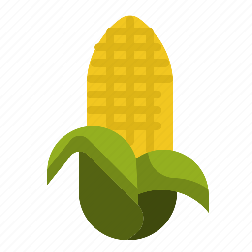 Cob, corn, farm, food, maize, natural icon - Download on Iconfinder