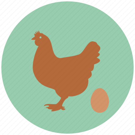 Hen, chicken, eggs, farm, egg icon - Download on Iconfinder