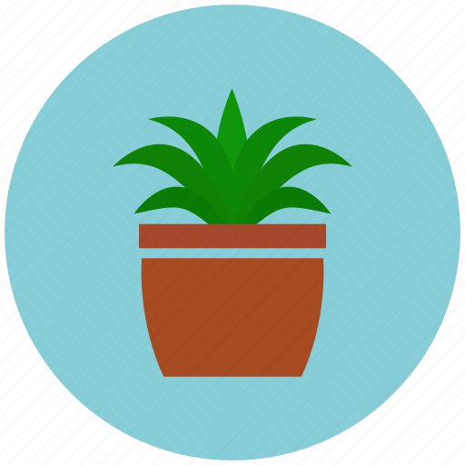 Garden, growing, growth, plant pot, crop, plant icon - Download on Iconfinder