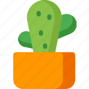 cactus, agriculture, environment, flower, garden, nature, plant