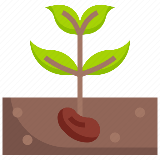 Sprout, plant, farming, gardening, tree icon - Download on Iconfinder