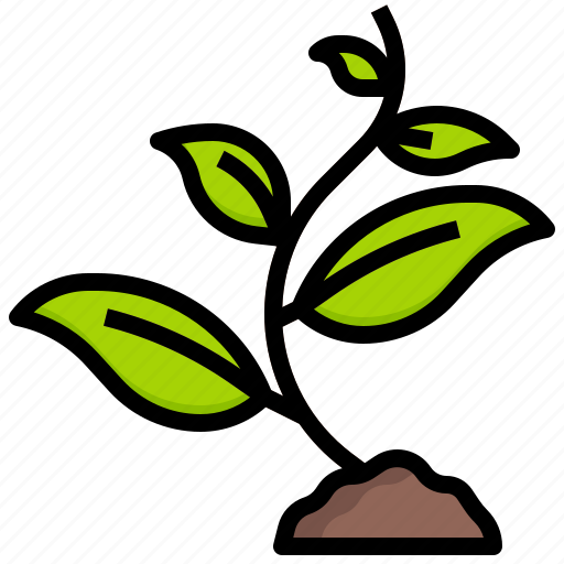 Seedling, plant, seed, ecologist, environmental icon - Download on Iconfinder