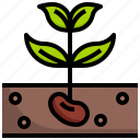 sprout, plant, farming, gardening, tree
