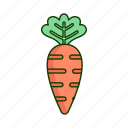 carrot, food, vegetarian, healthy, organic, vegetable