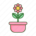 flower, pot, plant, garden, gardening, agriculture