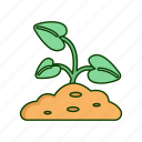 sprout, agriculture, nature, plant, leaf, ecology, garden